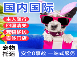 营口兰旗空运地址国际宠物托运 【国